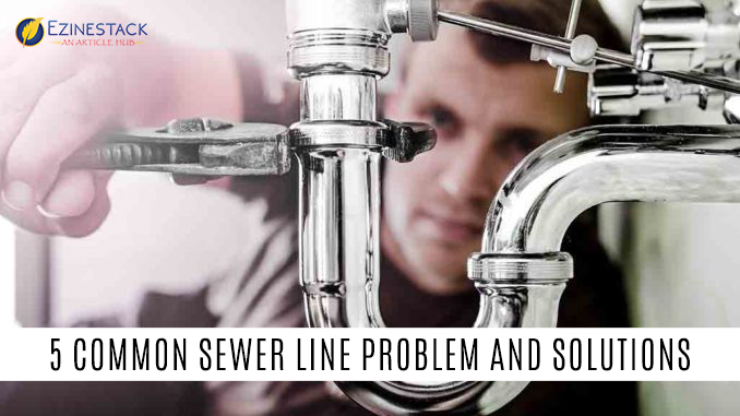 5 Common Sewer Line Problem And Solutions