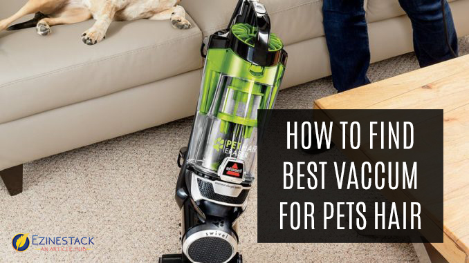 How To Find Best Vaccum For Pets Hair