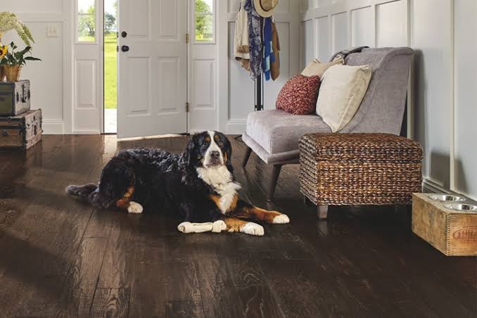 5 Pet-Friendly Flooring Options