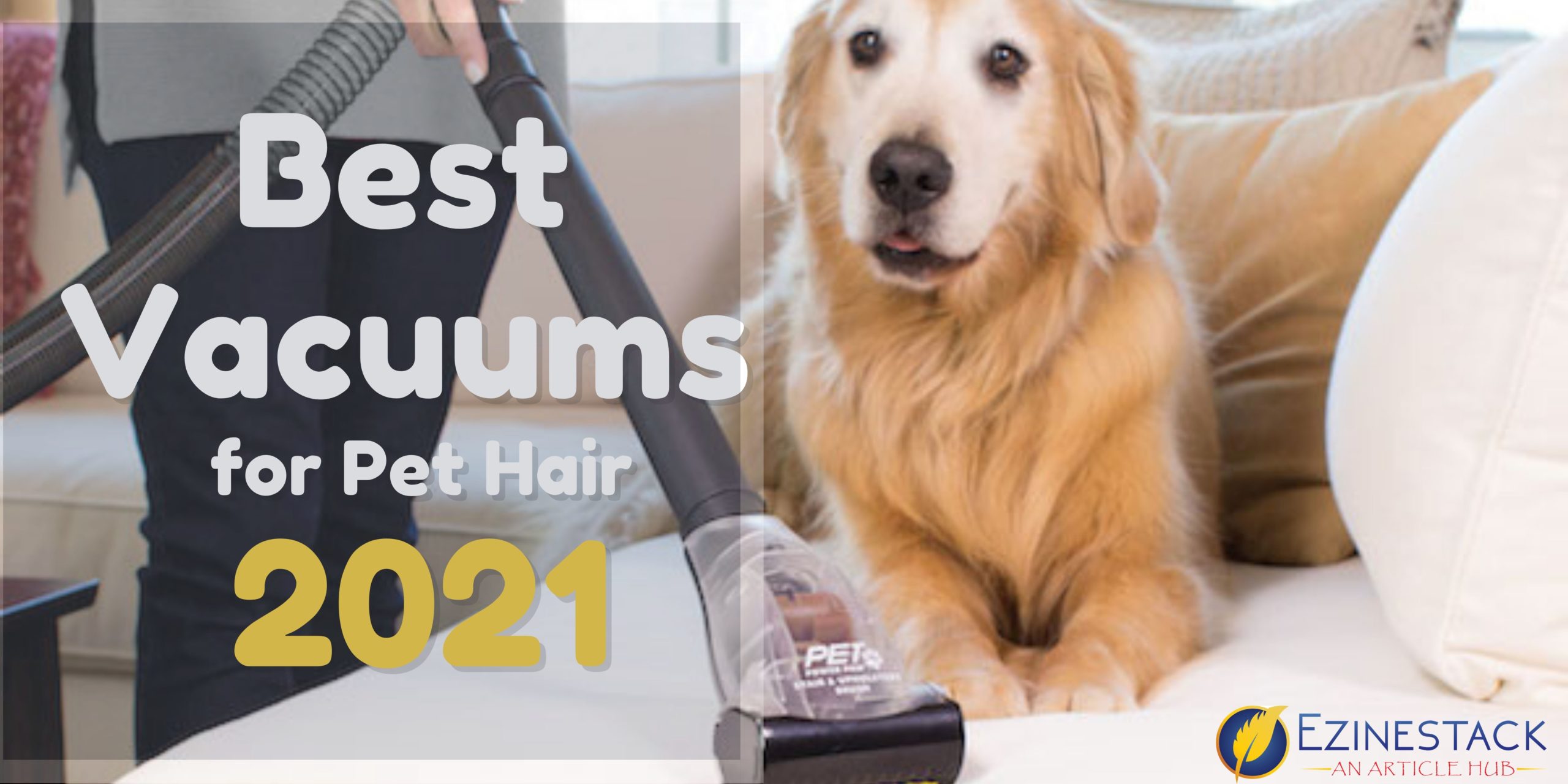 Best Vacuums For Pet Hair 2021