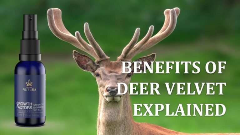 Top 5 Health Benefits Of Deer Antler Velvet Adaptogen Supplements To   Deer Velvet 768x432 