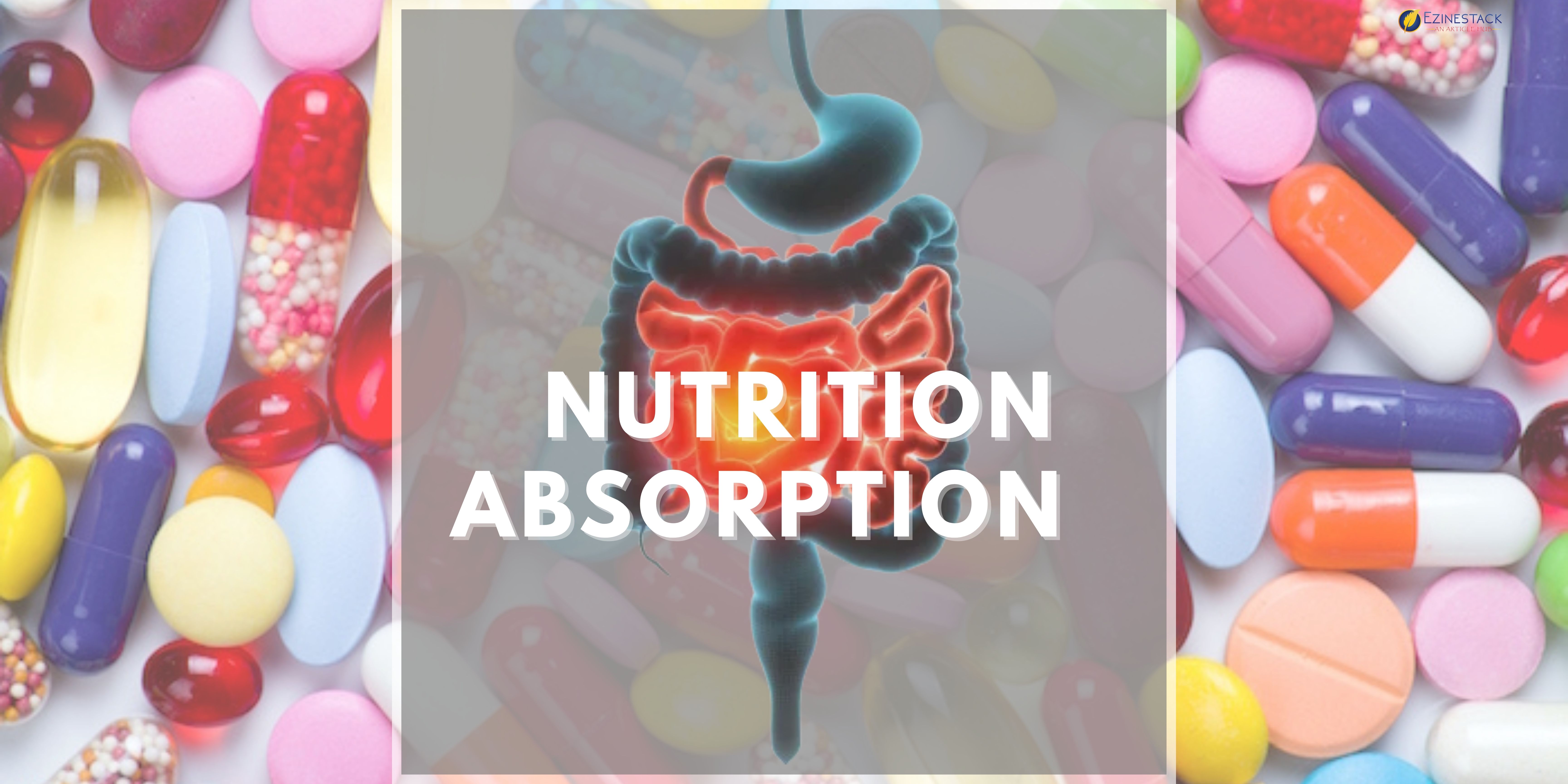 Nutrition Absorption